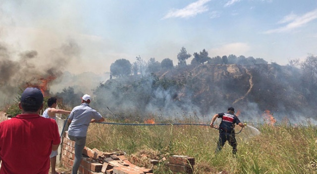 Tekirdağ'da zeytinlik alanda yangın çıktı Tekirdağ'da zeytinlik alanda yangın çıktı