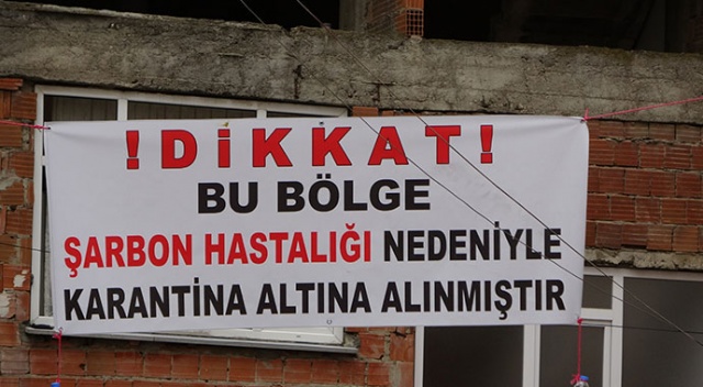 Trabzon’da şarbon vakası! 1 mahalle karantinaya alındı Trabzon’da şarbon vakası! 1 mahalle karantinaya alındı