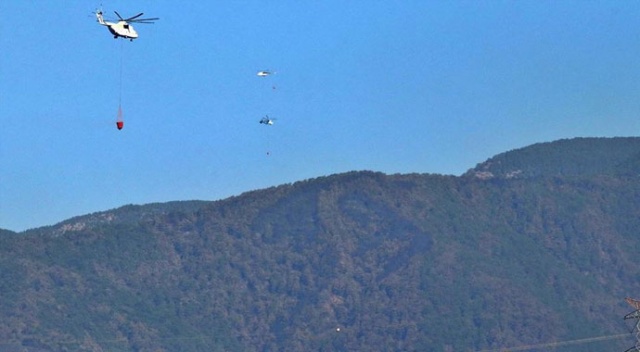 Bakan Pakdemirli: Hatay'daki orman yangını kontrol altına alındı