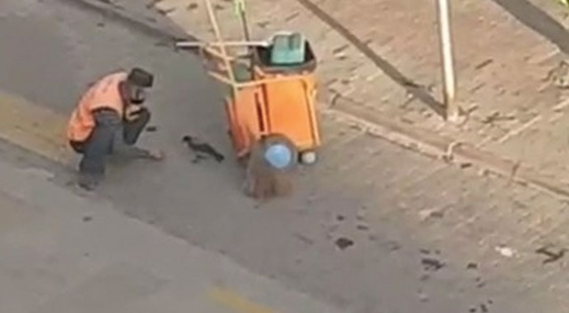 Bolu’da temizlik işçisi yanına gelen kargayı elleriyle besledi Bolu’da temizlik işçisi yanına gelen kargayı elleriyle besledi