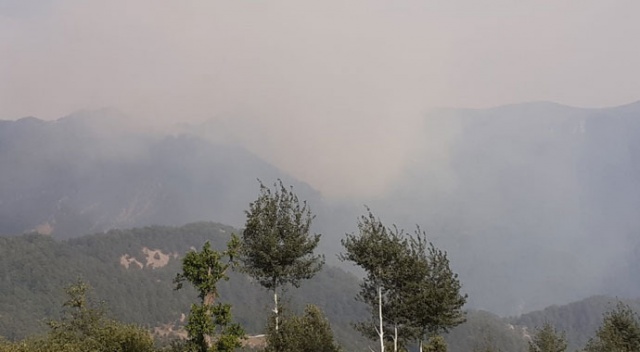 Hatay'daki orman yangınına havadan müdahale tekrar başladı