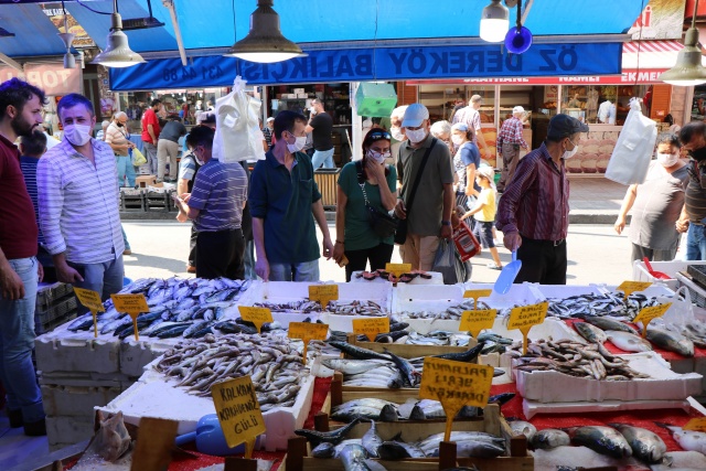 Palamut 1 günde 4 TL düştü