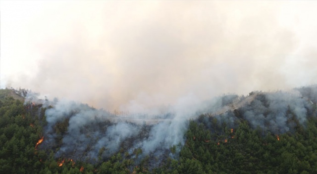 Samandağ'da orman yangını drone ile havadan görüntülendi Samandağ'da orman yangını drone ile havadan görüntülendi