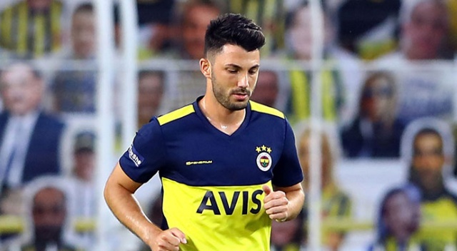 Tolgay Arslan, Hannover yolunda