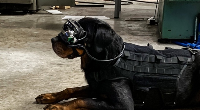 VR gözlükleriyle patlayıcı bulacaklar