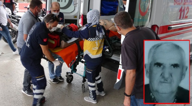 Ceviz ağacından düşen yaşlı adam hayatını kaybetti