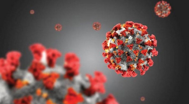CSIRO: &#039;Covid-19 bazı yüzeylerde 28 gün canlı kalıyor&#039;