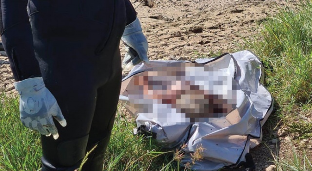 Dicle Nehri'nde kaybolan çocuğun cesedine 8 gün sonra ulaşıldı Dicle Nehri'nde kaybolan çocuğun cesedine 8 gün sonra ulaşıldı