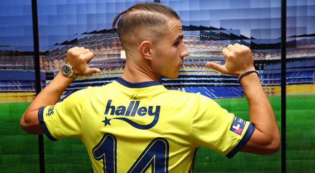 Dimitris Pelkas, Fenerbahçe'de Dimitris Pelkas, Fenerbahçe'de