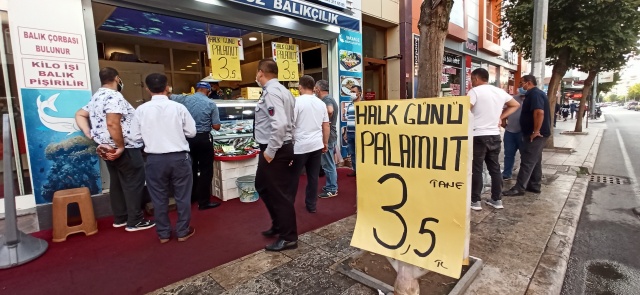 Düzce'de palamut 3,5 liraya kadar düştü