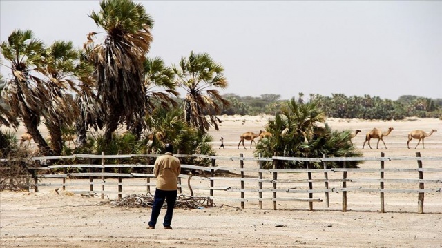 Güney Afrika'da 'beyaz' çiftçi gerginliği Güney Afrika'da 'beyaz' çiftçi gerginliği