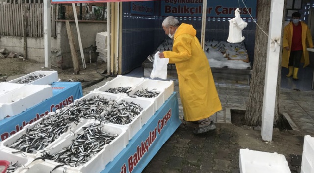 Hamsi bolluğu fiyatları yarıya düşürdü Hamsi bolluğu fiyatları yarıya düşürdü