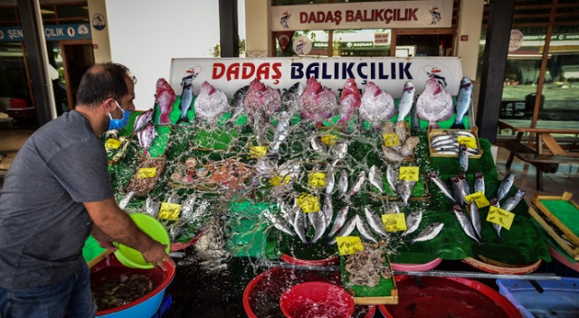 Havaların soğumaması balık fiyatlarını yükseltiyor Havaların soğumaması balık fiyatlarını yükseltiyor