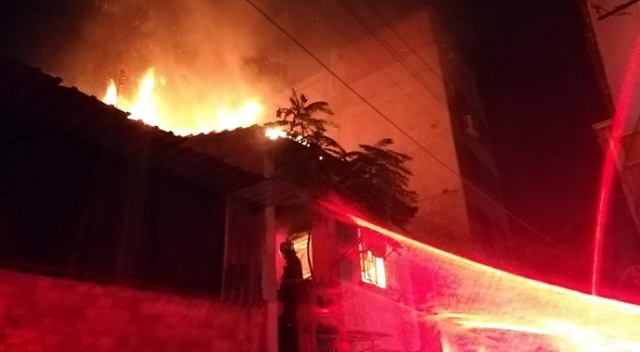 İzmir'de korkunç yangın: Onlarca kuş yanarak telef oldu İzmir'de korkunç yangın: Onlarca kuş yanarak telef oldu