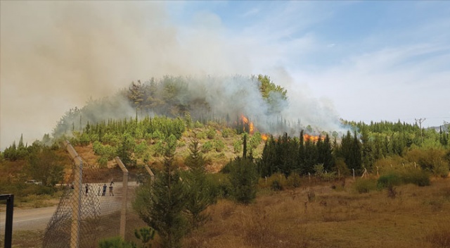 Kahramanmaraş’ta 4 ayrı noktada yangın çıktı