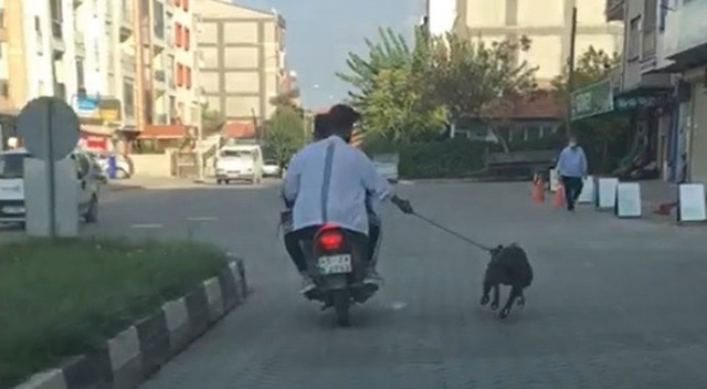 Manisa’da pes dedirten görüntü