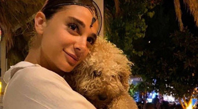 Pınar Gültekin'in katil zanlısı Cemal Metin Avcı hakkında iddianame hazırlandı Pınar Gültekin'in katil zanlısı Cemal Metin Avcı hakkında iddianame hazırlandı
