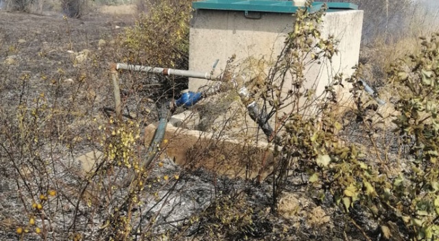 Samandağ’da bahçede yangın