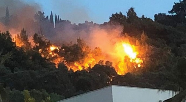 Söke'de zeytinlik ve ormanlık alanda yangın