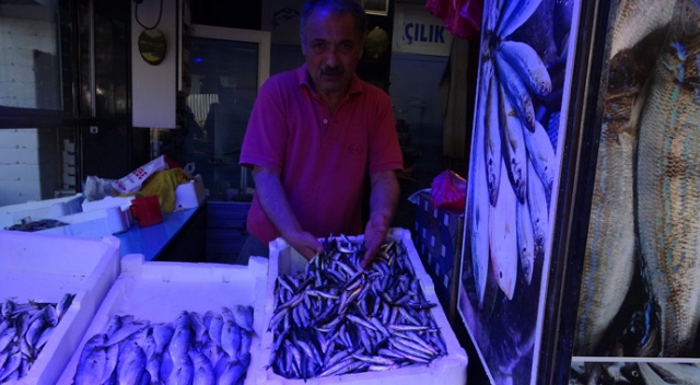 Trabzon'da hamsi tezgâhtaki yerini aldı Trabzon'da hamsi tezgâhtaki yerini aldı