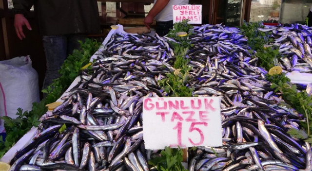 Yerlisi çıktı, kilosu 40 TL'den 15 TL'ye düştü Yerlisi çıktı, kilosu 40 TL'den 15 TL'ye düştü