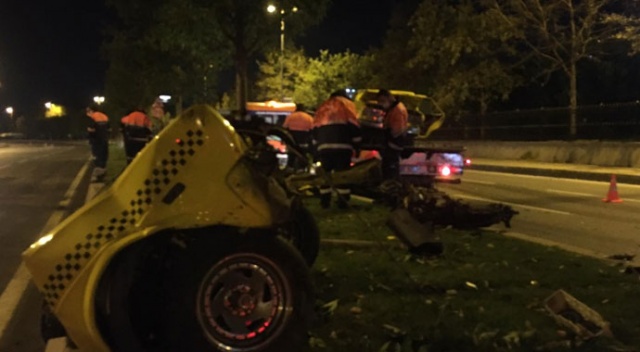 Aağaca çarpan otomobilin sürücüsü ağır yaralandı