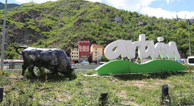 Artvin’de vaka sayısı sıfırdan 690’a yükseldi Artvin’de vaka sayısı sıfırdan 690’a yükseldi