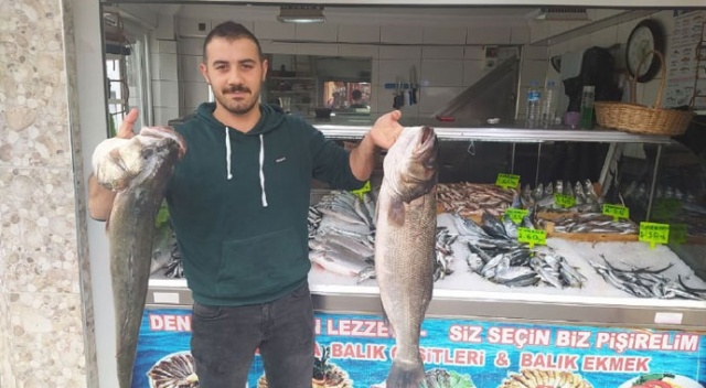 Bu balığın kilosu 140 liradan satılıyor Bu balığın kilosu 140 liradan satılıyor