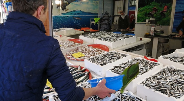 Bu hamsinin doğum yeri Rize