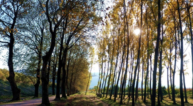 Bu yoldan geçen bir daha geliyor