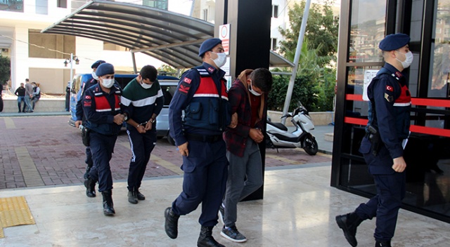 Girdikleri bahçeden 7 bin TL değerinde avokado çaldılar