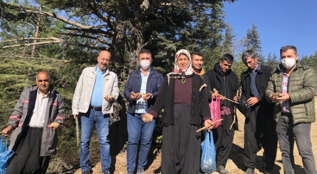 Her yerde onu arıyorlar: Kilosu 100 TL Her yerde onu arıyorlar: Kilosu 100 TL