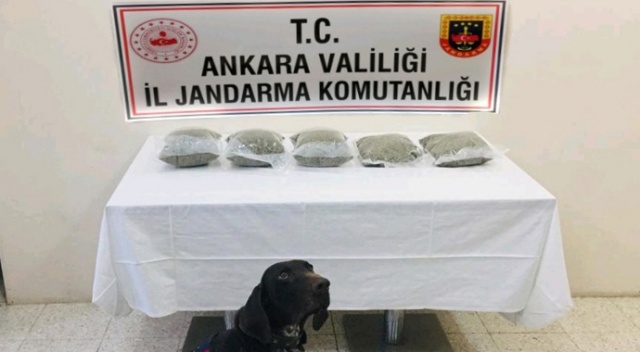 Jandarma adım adım takip etti, uyuşturucu tacirini otobüste yakaladı Jandarma adım adım takip etti, uyuşturucu tacirini otobüste yakaladı