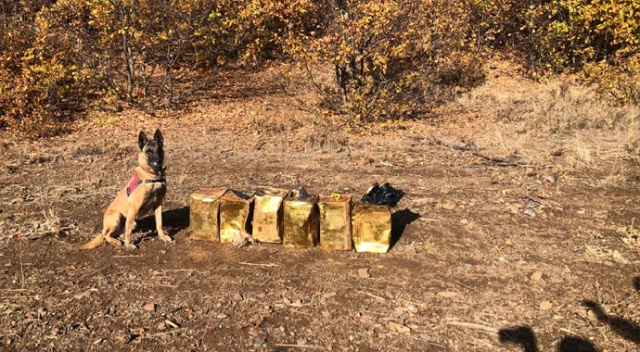 Jandarma Bitlis'te 100 kilogram patlayıcı madde ele geçirdi Jandarma Bitlis'te 100 kilogram patlayıcı madde ele geçirdi