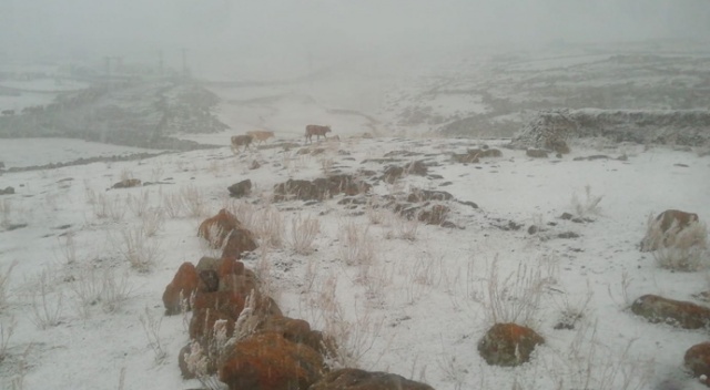 Kars&#039;ta yüksek rakımdaki köyler beyaza büründü