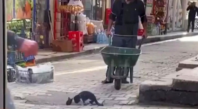 Kedinin su içtiğini fark etti, dakikalarca bekledi