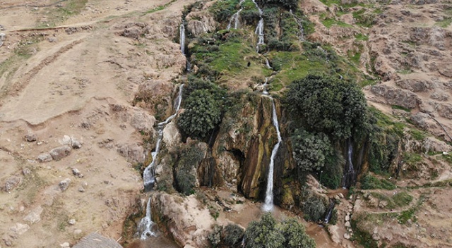 Kuraklığa boyun eğmeyen şelale
