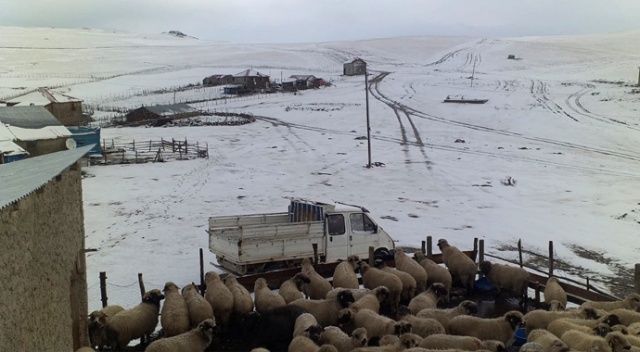 Ordu'da mevsimin ilk karı yaylaları beyaza bürüdü