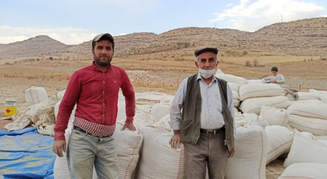 Siirt’te fıstık atığı birçok ailenin geçim kaynağı oldu