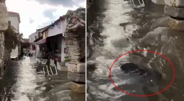 Tsunamiye kapılan babaannesini görünce yıkıldı