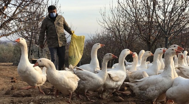 Arkadaşının tavsiyesine uydu, şimdi paraya para demiyor!