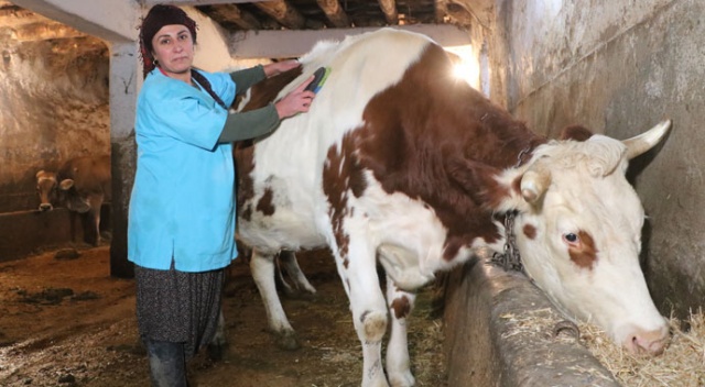 Asgari ücretle çalışmak yerine kendi işinin patronu oldu Asgari ücretle çalışmak yerine kendi işinin patronu oldu