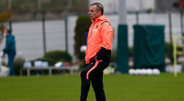 Aslan avlayacak! Aslan avlayacak!
