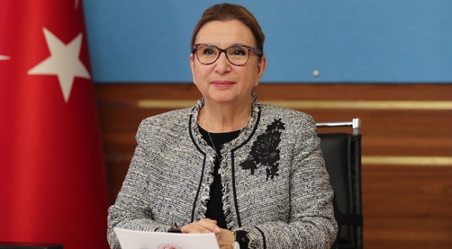 Bakan Pekcan: 81 ilimiz uluslararası doğrudan yatırımcı için potansiyel yatırım alanı Bakan Pekcan: 81 ilimiz uluslararası doğrudan yatırımcı için potansiyel yatırım alanı