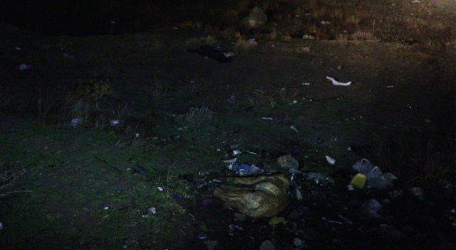 Başkent'te zehirlendikleri iddia edilen 6 köpek ölüsü bulundu Başkent'te zehirlendikleri iddia edilen 6 köpek ölüsü bulundu
