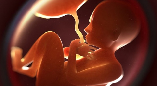 Bebeklerin plasentasında ilk kez mikroplastik tespit edildi