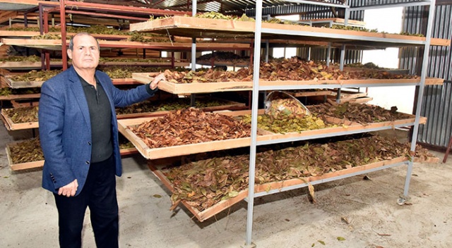 Bir çeşitle başlamıştı şimdi 21 çeşit çay yapıyor Bir çeşitle başlamıştı şimdi 21 çeşit çay yapıyor