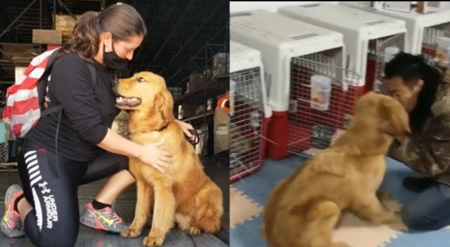 Çin’de kesilmekten kurtarılan 20 köpek Miami’de yeni sahiplerine kavuştu