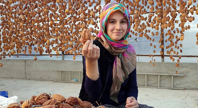 Fiyatı altınla yarışıyor! Bu meyve yüz güldürüyor Fiyatı altınla yarışıyor! Bu meyve yüz güldürüyor