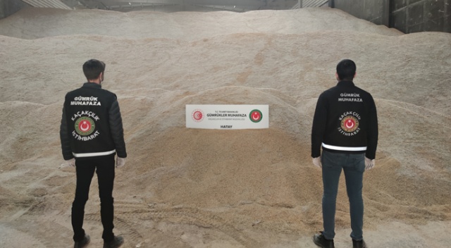 Hatay&#039;da ele geçirildi: Piyasa değeri 15 milyon lira